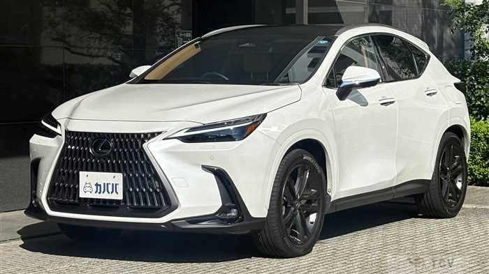 2025 Lexus NX
