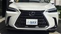 2025 Lexus NX