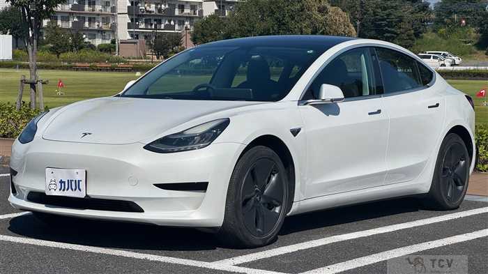 2019 Tesla Motors Others