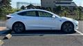 2019 Tesla Motors Others
