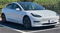 2019 Tesla Motors Others