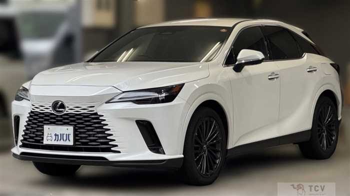 2023 Lexus RX