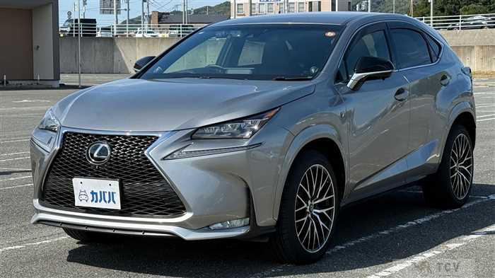 2014 Lexus NX