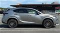 2014 Lexus NX