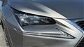 2014 Lexus NX