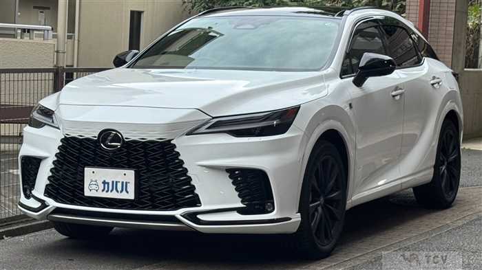2025 Lexus RX