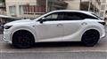 2025 Lexus RX
