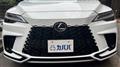 2025 Lexus RX