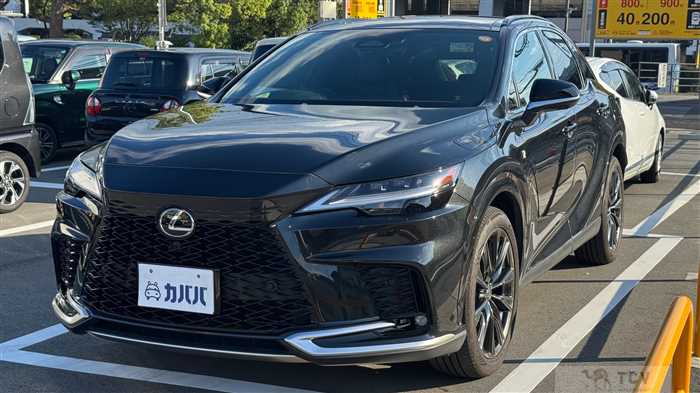 2025 Lexus RX