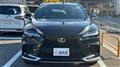 2025 Lexus RX