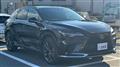 2025 Lexus RX