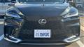 2025 Lexus RX