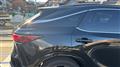 2025 Lexus RX