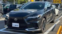 2025 Lexus RX
