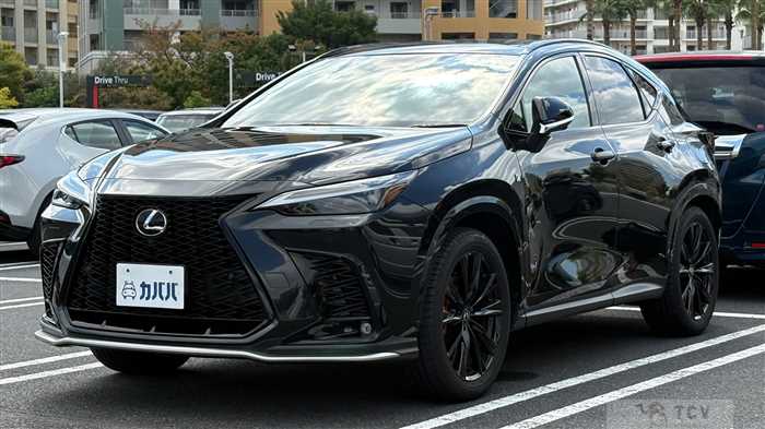 2024 Lexus NX