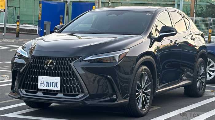 2023 Lexus NX