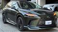 2026 Lexus RX