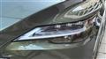 2026 Lexus RX