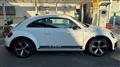 2017 Volkswagen Volkswagen Others