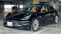 2019 Tesla Motors Others