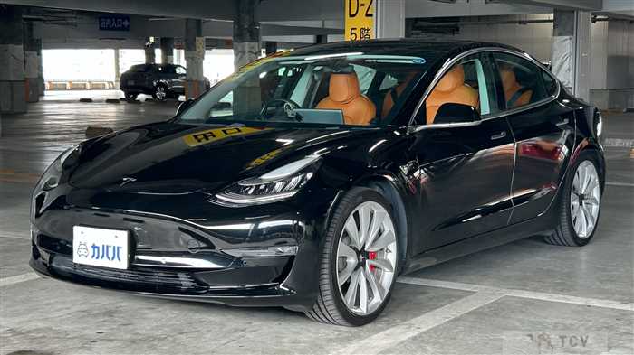 2019 Tesla Motors Others