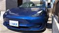 2022 Tesla Motors Others