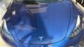 2022 Tesla Motors Others