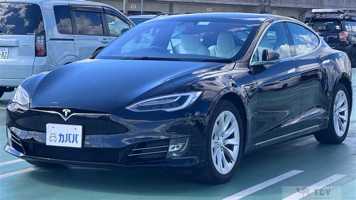 2019 Tesla Motors Others