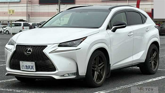 2016 Lexus NX