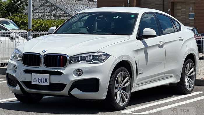 2017 BMW X6