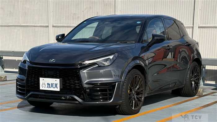 2025 Lexus Other