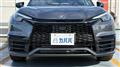 2025 Lexus Other
