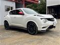2013 Nissan Juke