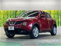 2010 Nissan Juke