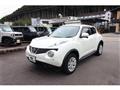 2011 Nissan Juke