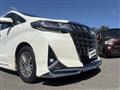 2019 Toyota Alphard