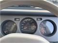 1995 Nissan Rasheen