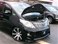 2010 Toyota Alphard