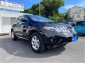2010 Nissan Murano