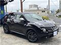 2013 Nissan Juke