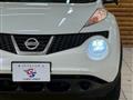 2013 Nissan Juke