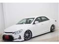 2010 Toyota Mark X