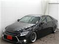 2010 Toyota Mark X
