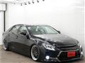 2010 Toyota Mark X