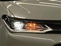 2019 Toyota Corolla Fielder