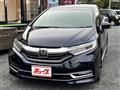 2019 Honda Shuttle