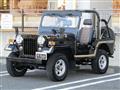 1995 Mitsubishi Jeep