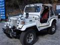 1996 Mitsubishi Jeep