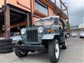 1990 Mitsubishi Jeep
