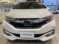 2018 Honda Shuttle